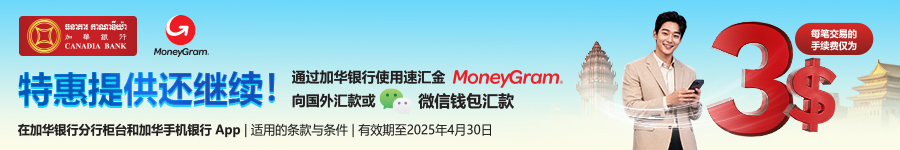 Moneygramott cctime900x150px